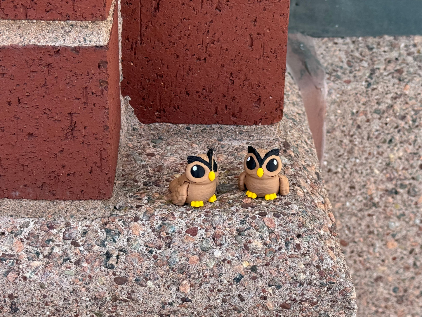 Owl