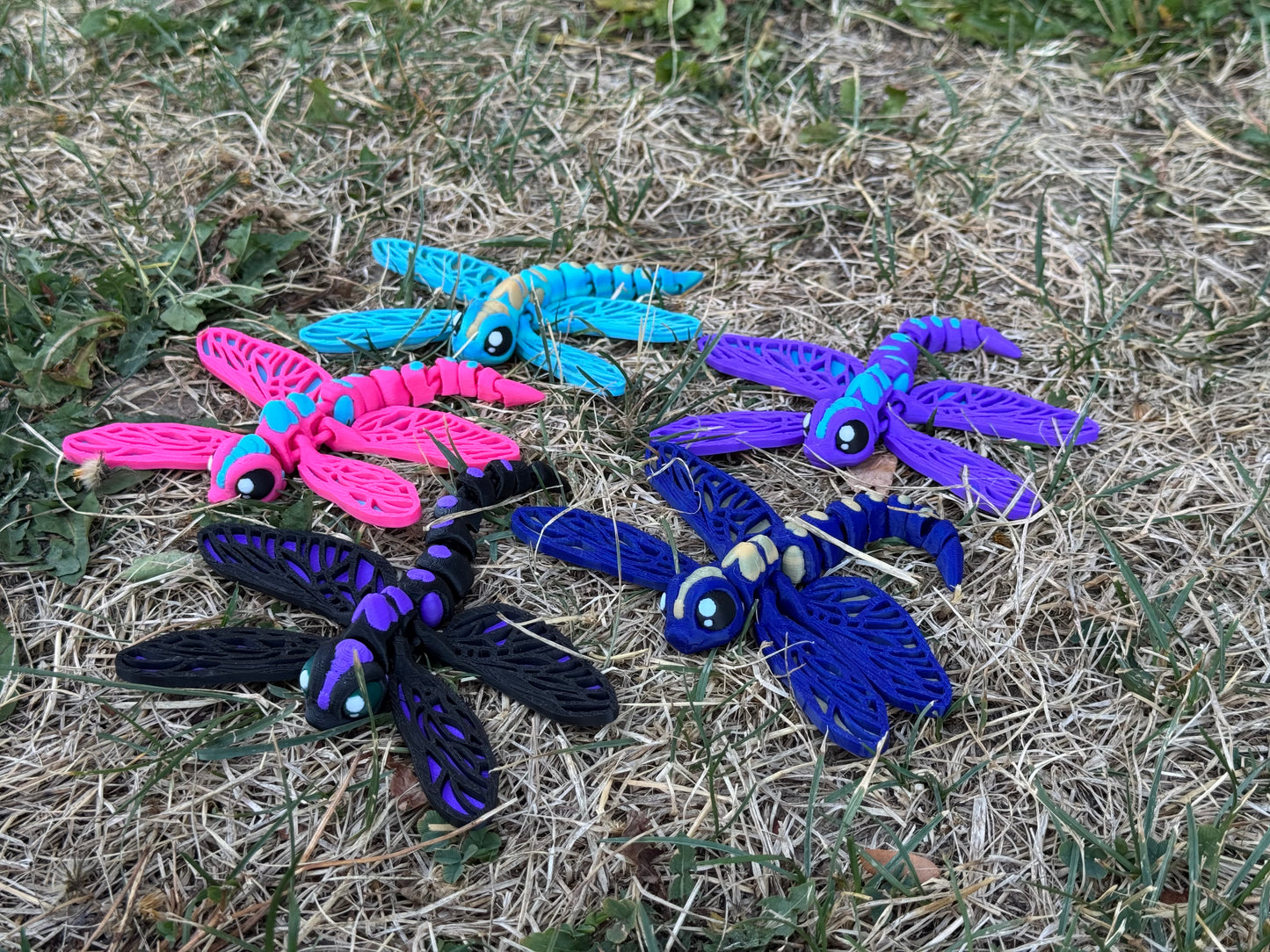 Dragonfly