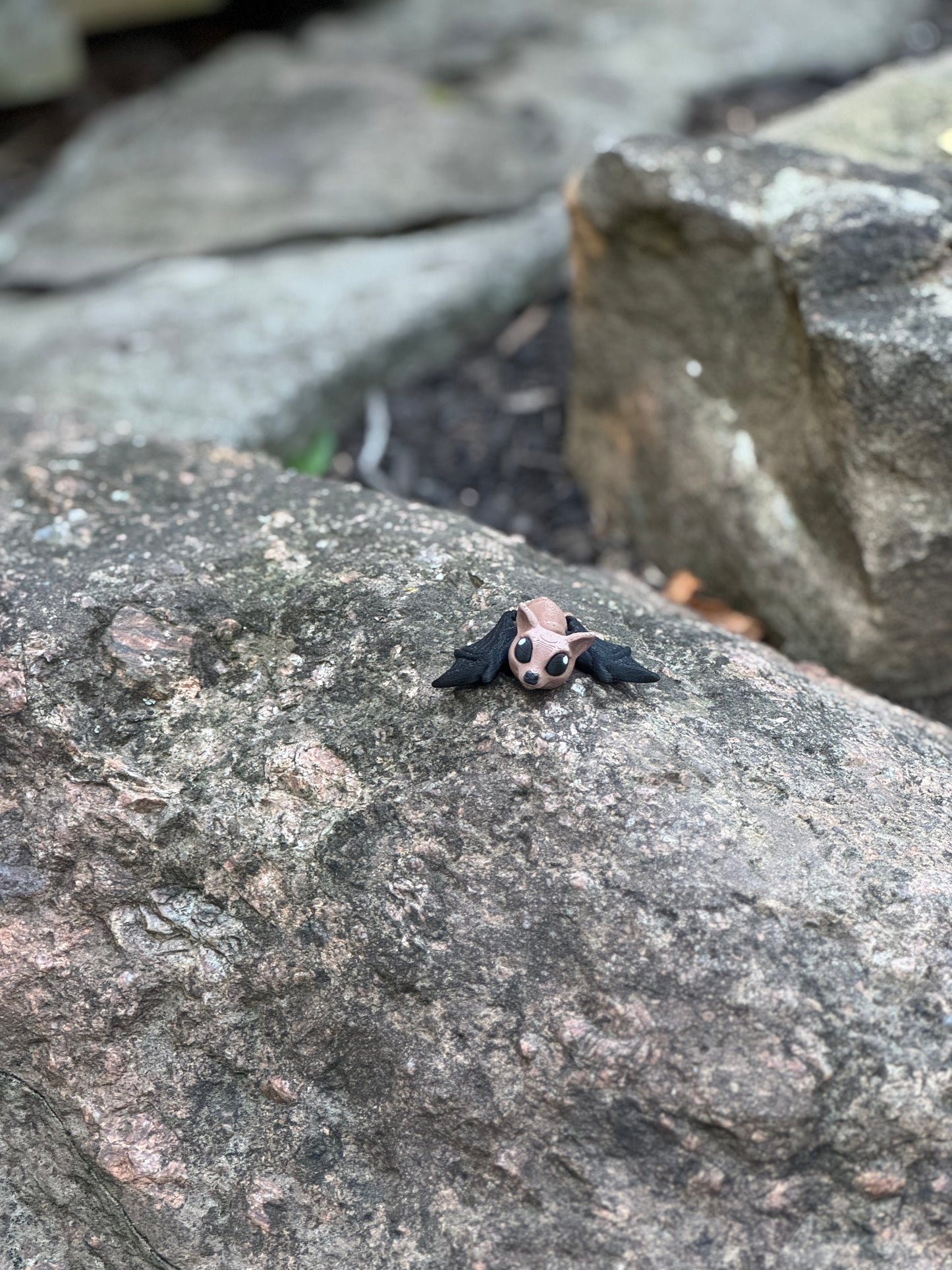 Fruit bat