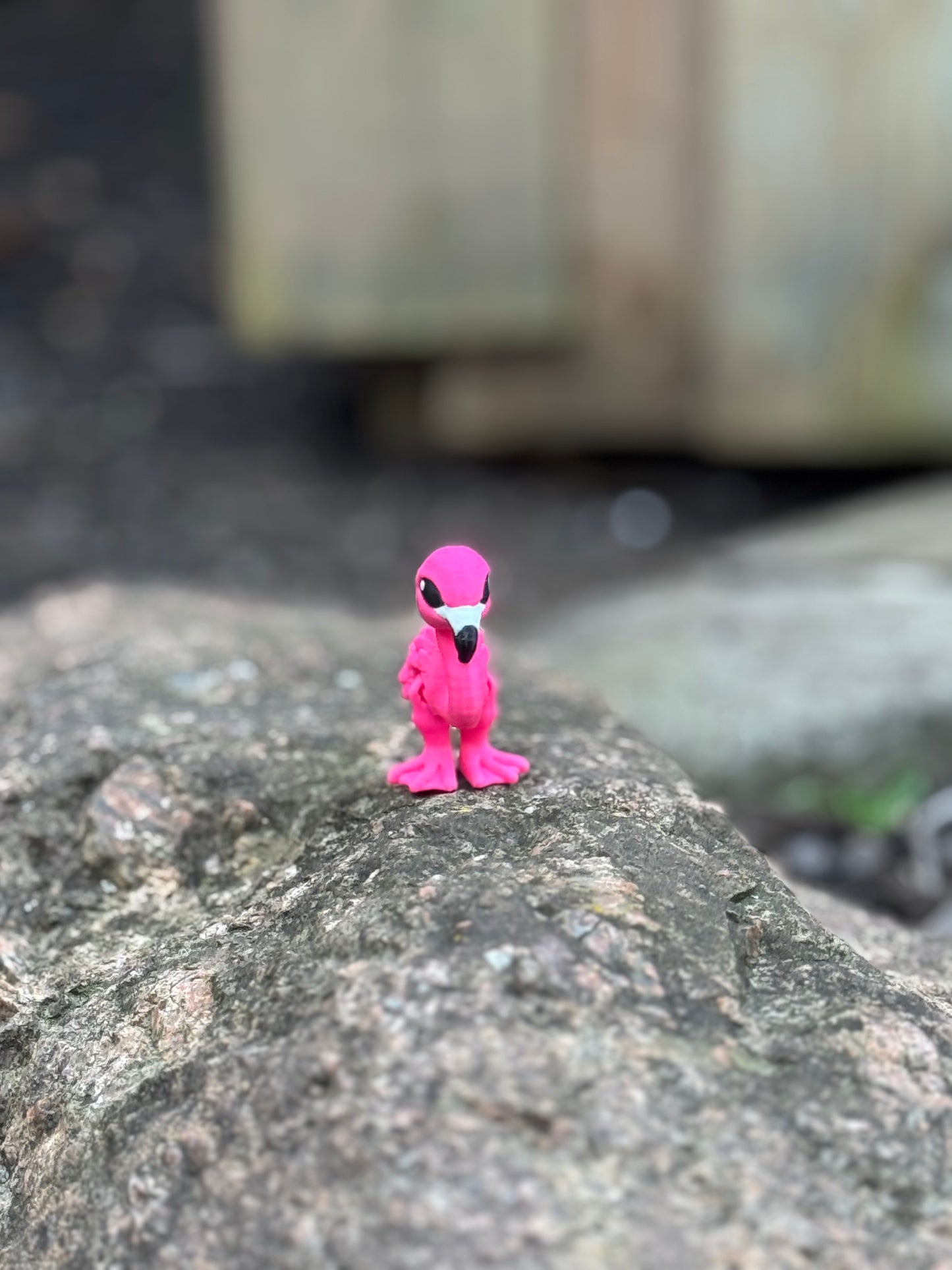 Flamingo