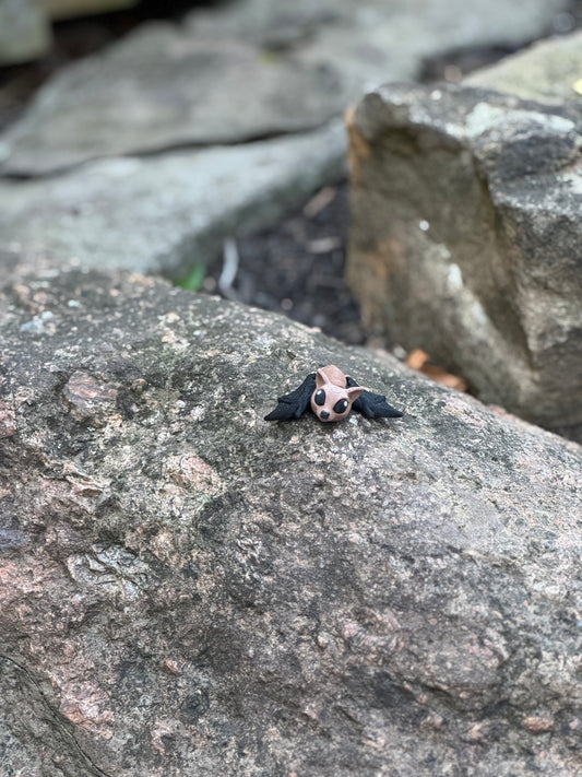 Fruit bat