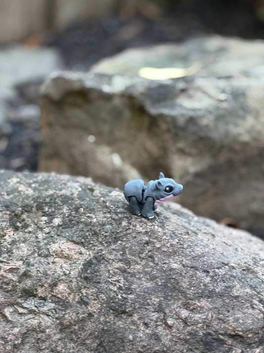 Baby hippo