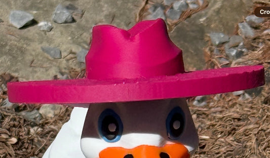 Desk Goose Sun Hat